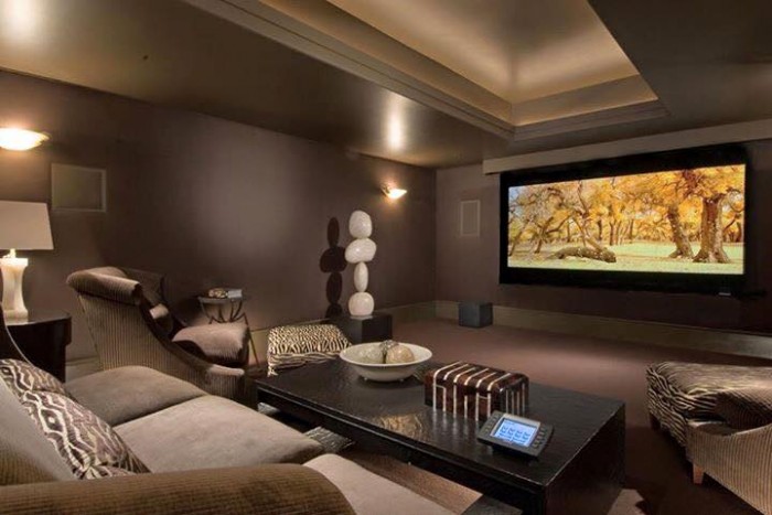 Home Theater Idea